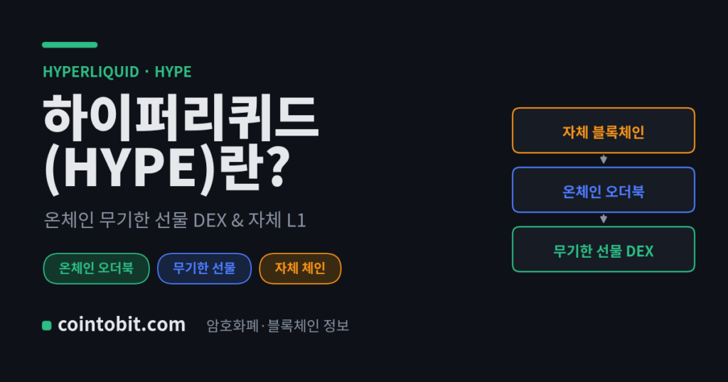 하이퍼리퀴드(HYPE)란 무엇인가 — 온체인 무기한 선물 DEX이자 자체 L1 블록체인을 설명하는 대표 이미지