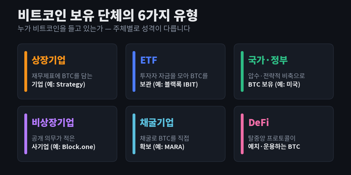 비트코인 보유 단체의 6가지 유형 — 상장기업, ETF, 국가·정부, 비상장기업, 채굴기업, DeFi — 을 각각 대표 사례와 함께 카드 형태로 정리한 다이어그램