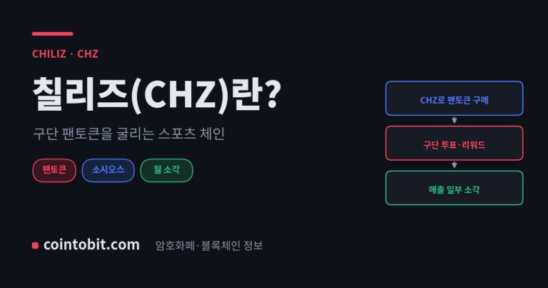 칠리즈(CHZ)란 무엇인가, 구단 팬토큰 생태계를 굴리는 스포츠 블록체인을 설명하는 대표 이미지