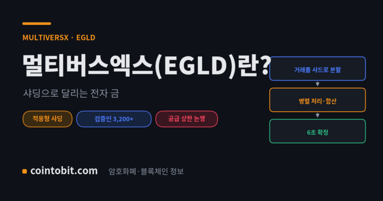 멀티버스엑스(EGLD)란 무엇인가, 적응형 샤딩으로 확장하는 구 엘론드 체인을 설명하는 대표 이미지