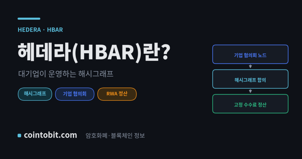 헤데라(HBAR)란 무엇인가, 대기업 협의회가 운영하는 해시그래프 네트워크를 설명하는 대표 이미지