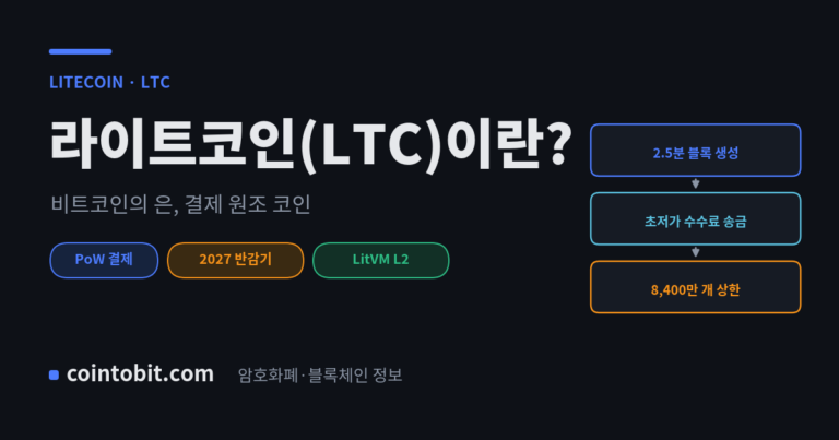 라이트코인(LTC)이란 무엇인가, 비트코인의 은으로 불리는 결제 코인을 설명하는 대표 이미지