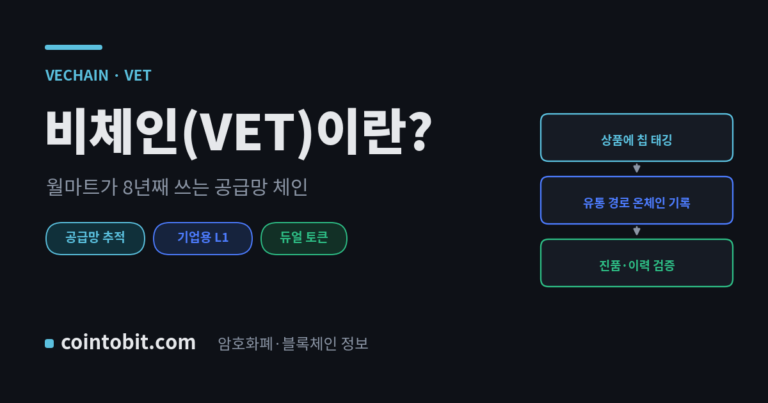 비체인(VET)이란 무엇인가, 월마트가 8년째 쓰는 공급망 추적 체인을 설명하는 대표 이미지