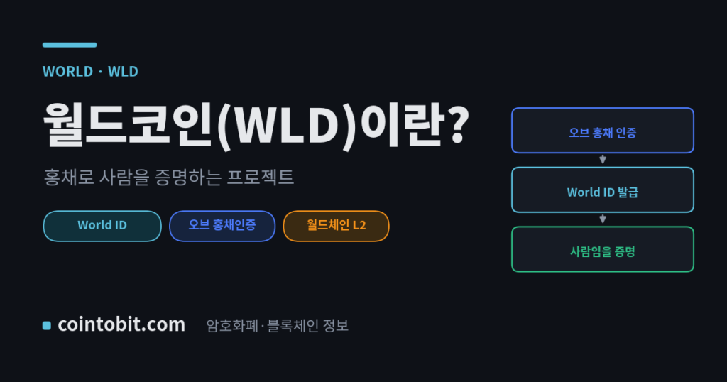 월드코인(WLD)이란 무엇인가, 홍채 인증으로 사람을 증명하는 World ID 프로젝트를 설명하는 대표 이미지